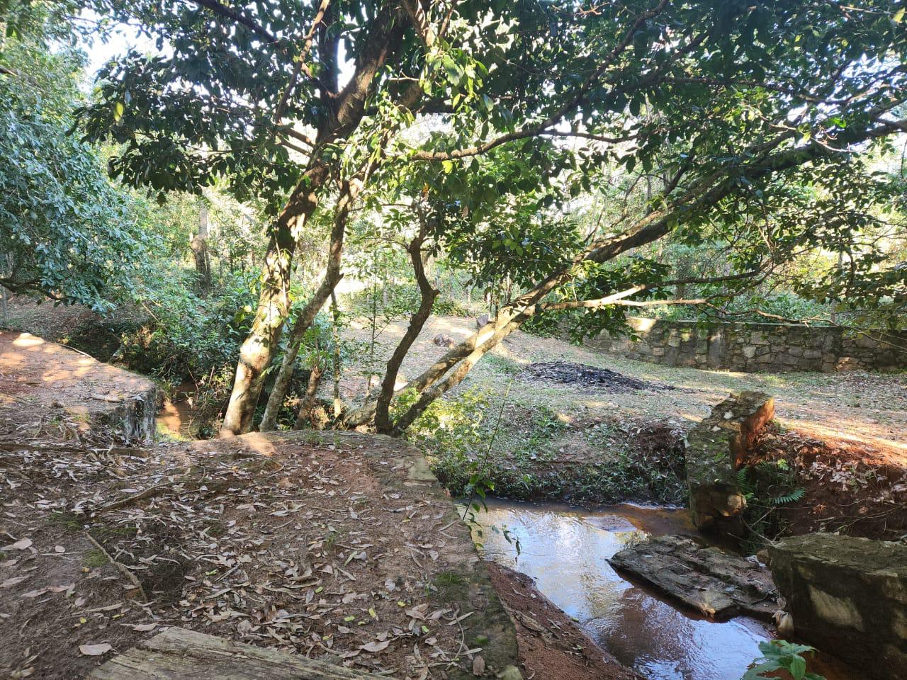 VENDO HERMOSA PROPIEDAD EN CAACUPE! — foto 3