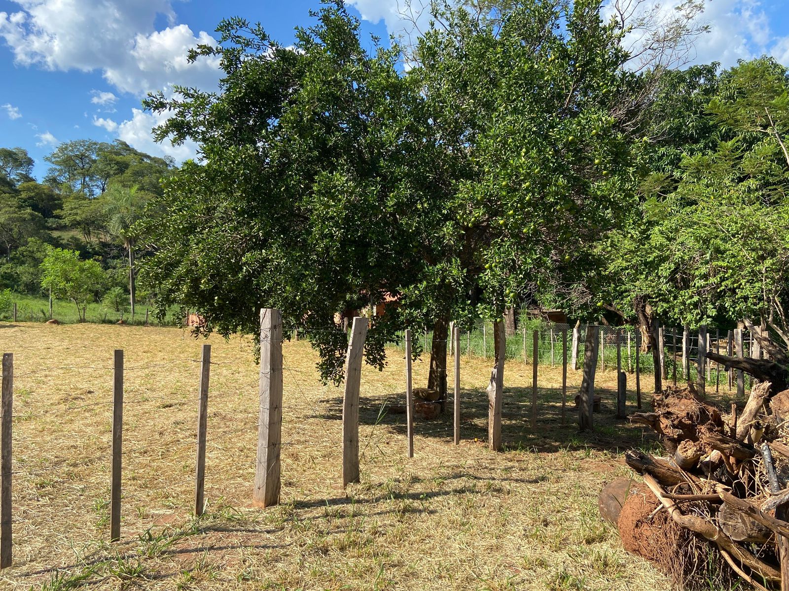 OFERTA !! VENDO TERRENO CAACUPE 450 M2 — foto 2