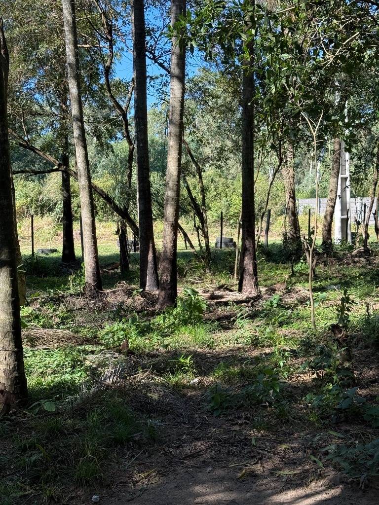 En venta Hectáreas en San Bernardino — foto 3