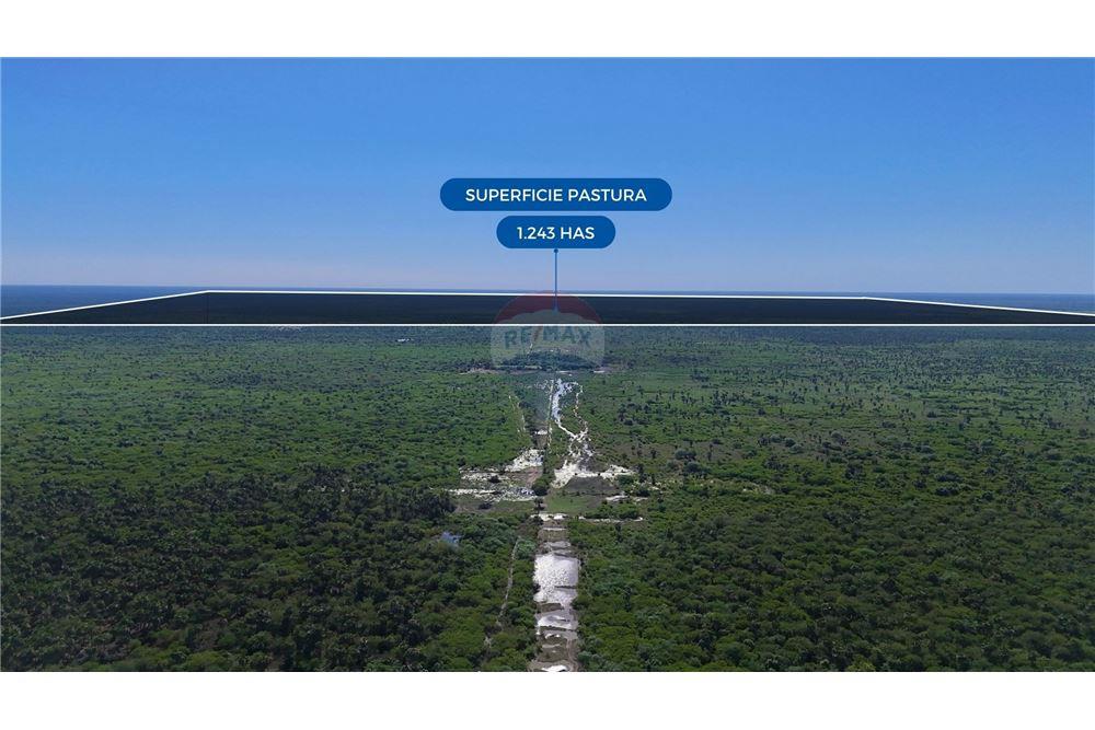 En Venta -Estancia/Campo -Teniente Esteban Martínez, Presidente Hayes, Paraguay — foto 2