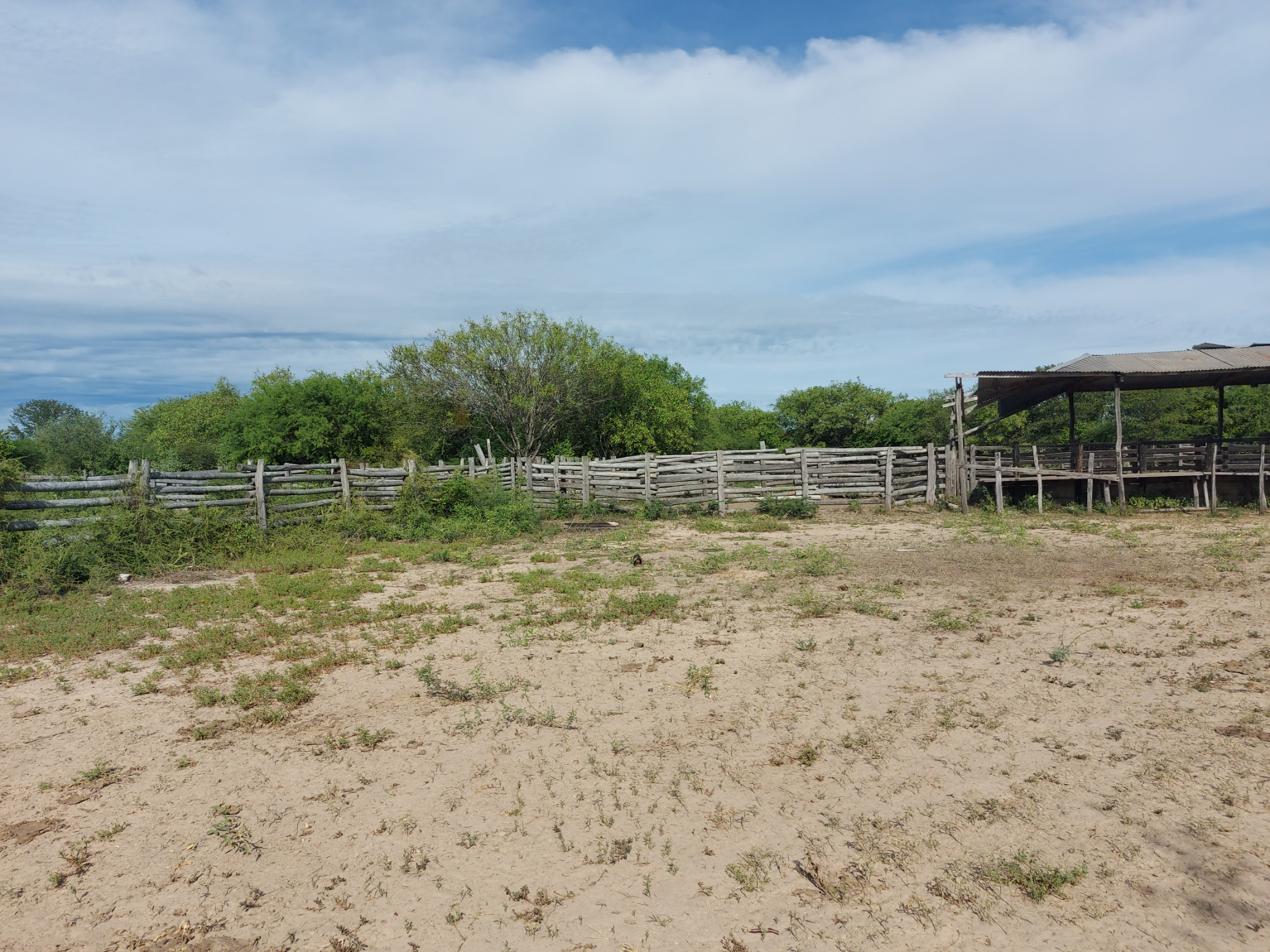 Estancia A 300 Km De As En Villa Hayes — foto 3