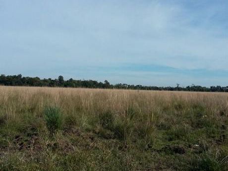 Campo De 110 Hectareas Sobre Ruta 1 Km181