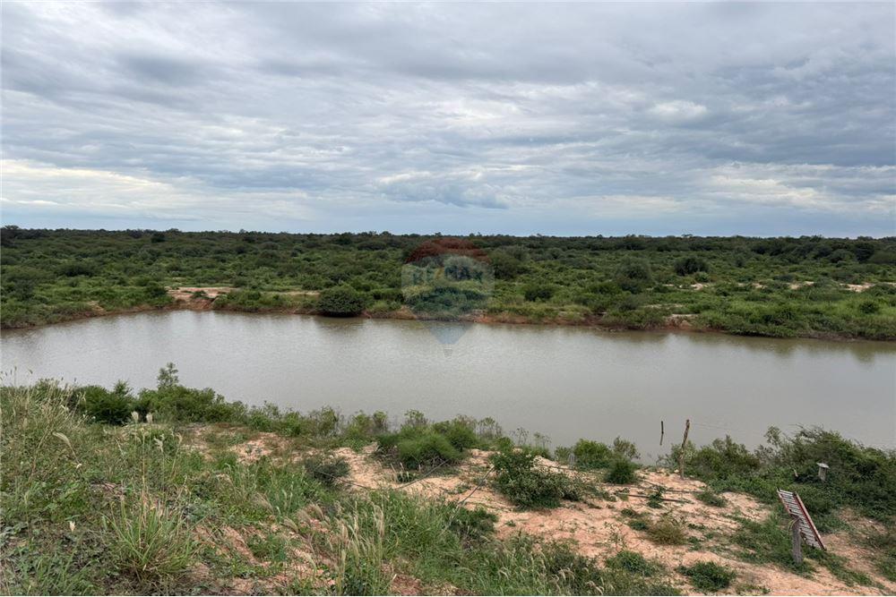 Vendo Campo Desarrollado en el Chaco, Neuland — foto 2