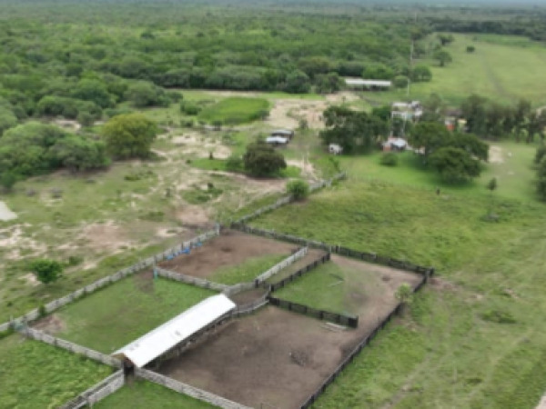 PROPIEDAD RURAL EN VENTA ZONA TACUARA — foto 2