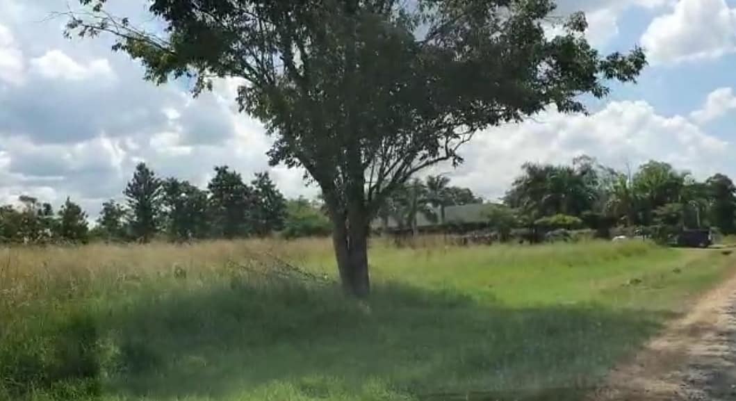 Vendo 2 terrenos en Surubi'i. Cod FDNI — foto 3