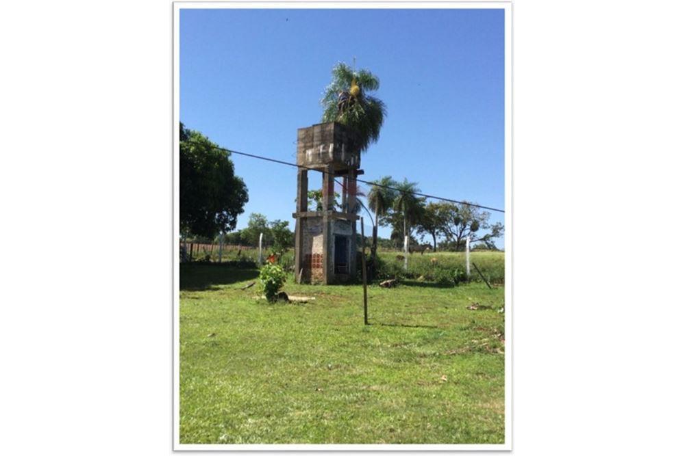 VENDO ESTANCIA EN FUNCIONAMIENTO EN ARROYOS Y ESTEROS — foto 2