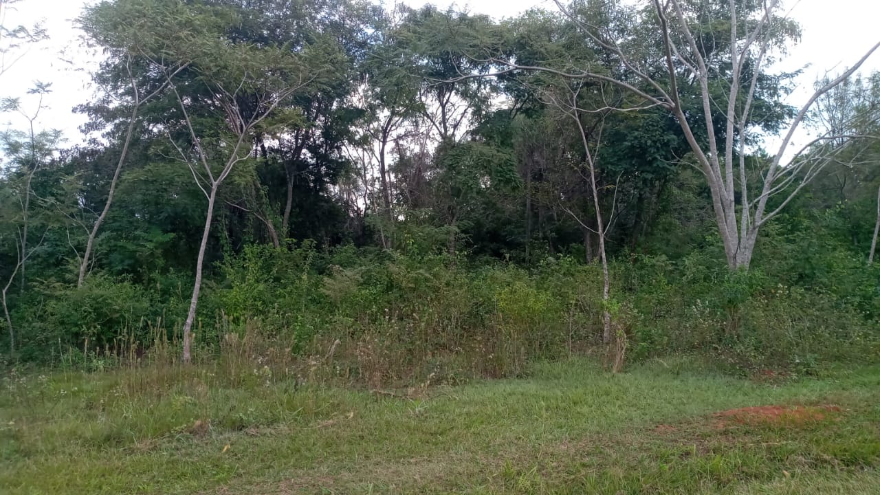 Vendo Amplio Terreno En Atyra - 1573 M2 — foto 3