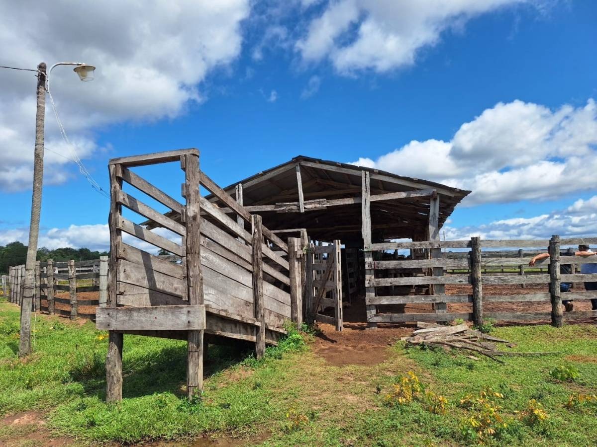 Vendo Estancia De 900ha En Horqueta, Concepcion — foto 2