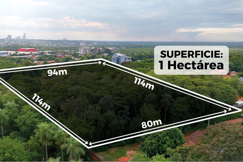 Vendo Terreno de 1 Hectárea en Zona CIT Terreno de 10.000 m² — foto 3