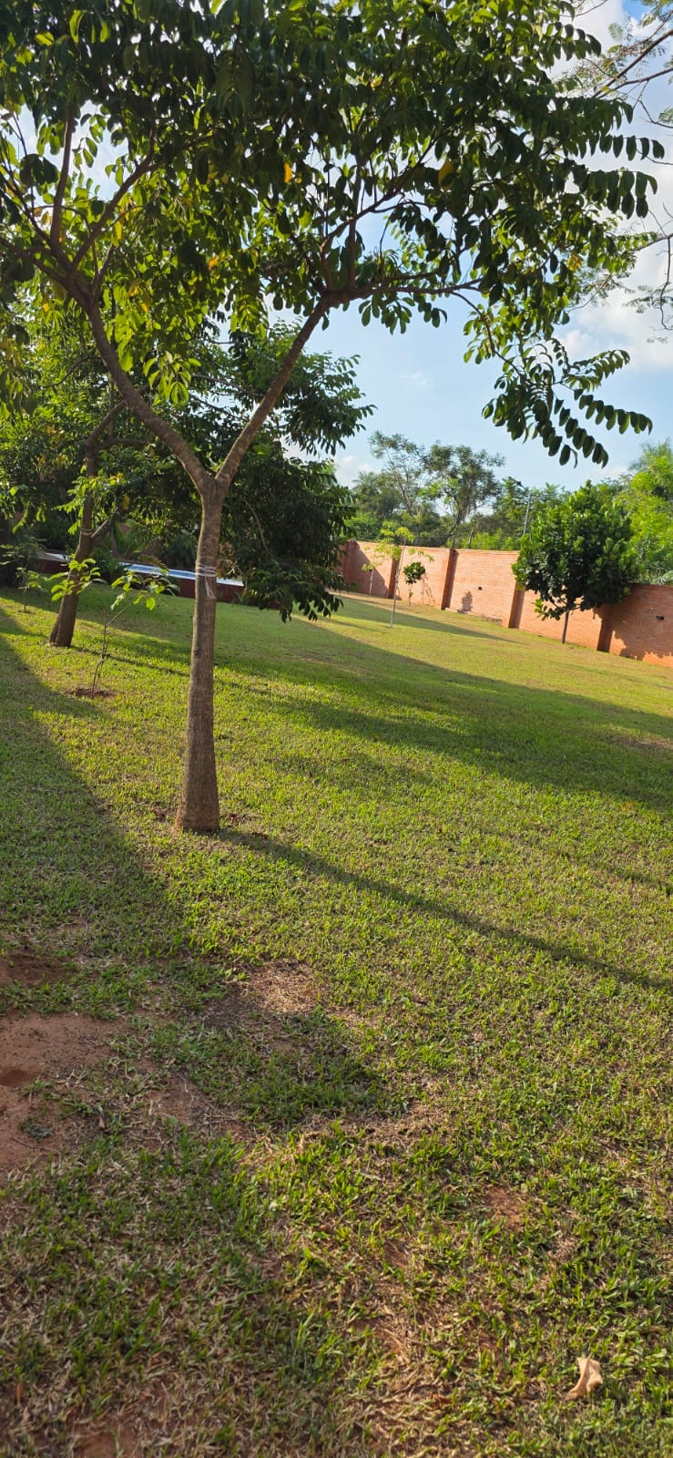 En venta hermosa casa quinta en nueva Colombia 2.613m2 — foto 2