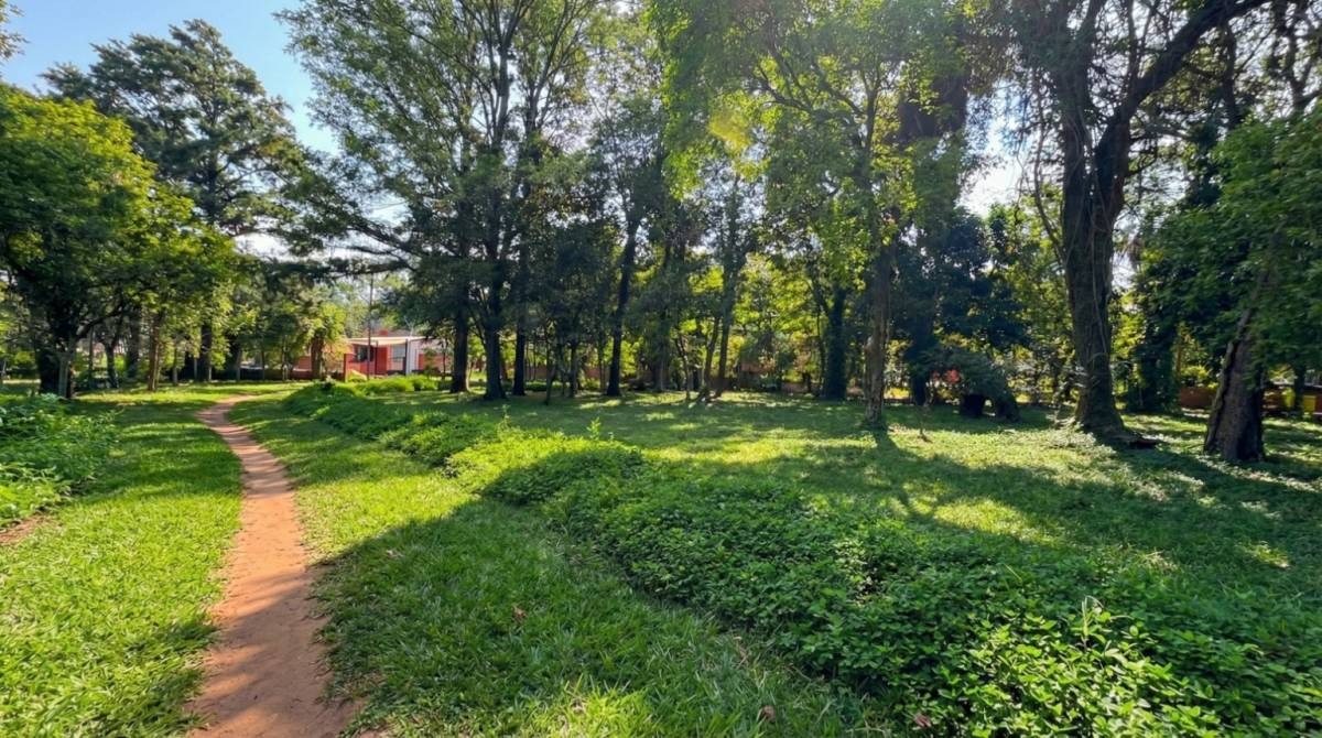 VENDO TERRENO SOBRE RUTA CAPIATÁ / THOMSON / YPANÉ — foto 3