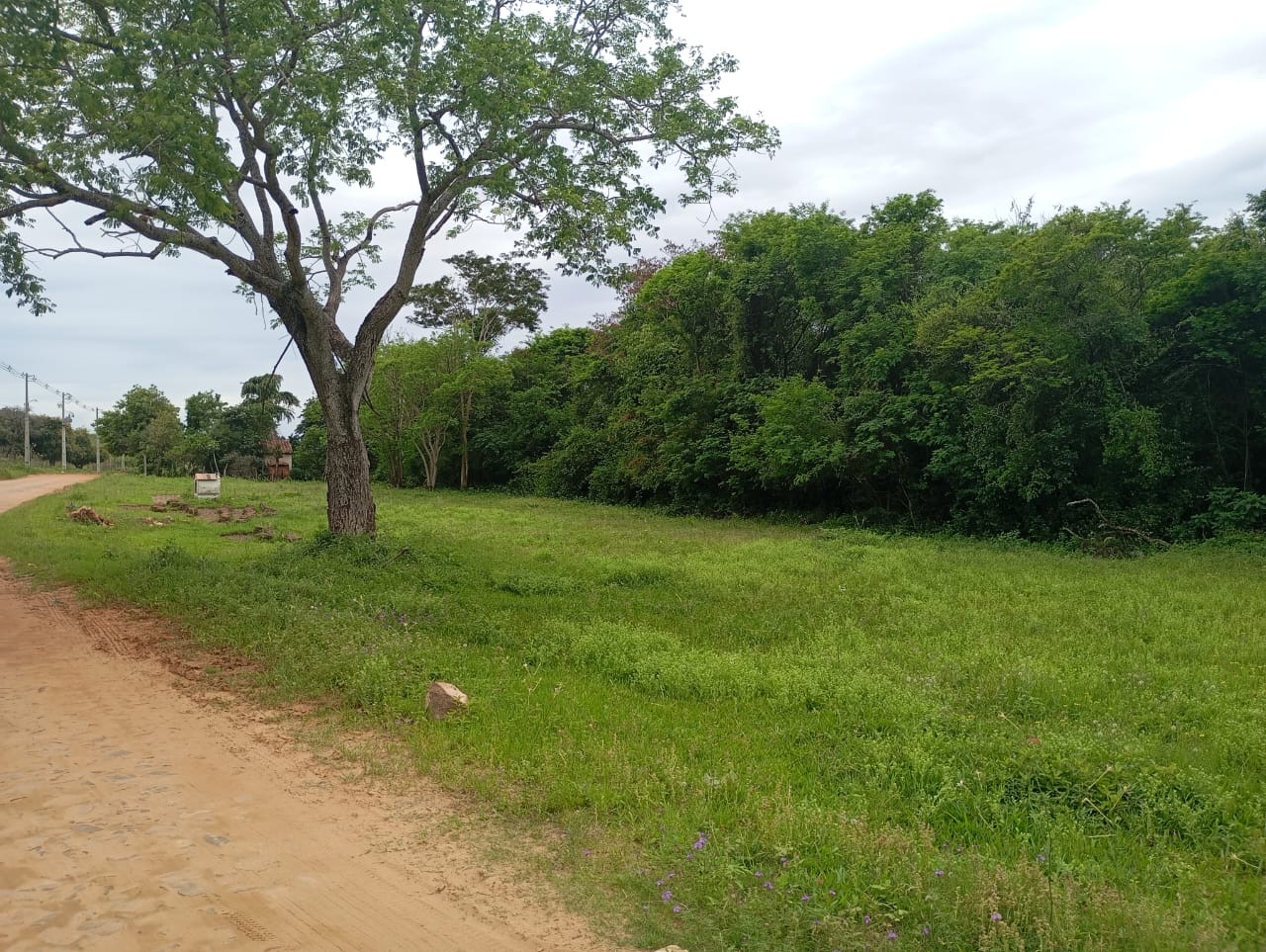 VENDO TERRENO EN ZARATE ISLA - LUQUE — foto 3