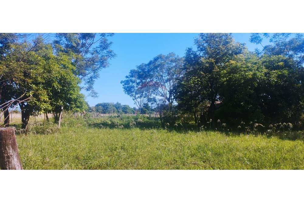 Terreno - Venta - Cambyretá, Itapúa, Paraguay — foto 3