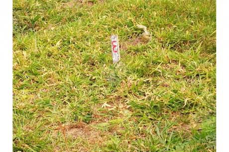 Lote En Venta Colinas Del Norte II Zona Norte