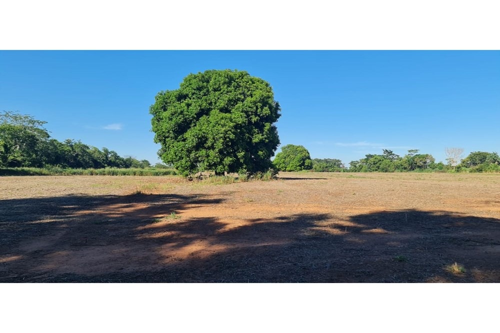 Terreno-Venta-000 000, si, Itacurubí del Rosario, San Pedro — foto 2