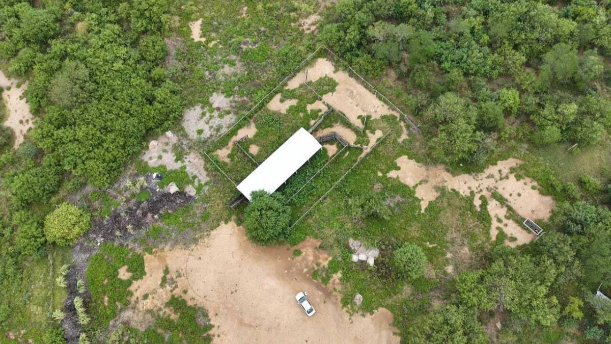 En venta estancia formada en Loma Plata - ID 43488 — foto 2