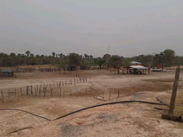 VENDO ESTANCIA EN ALTO PARAGUAY-FORTIN FLORIDA, 1500HA — foto 2