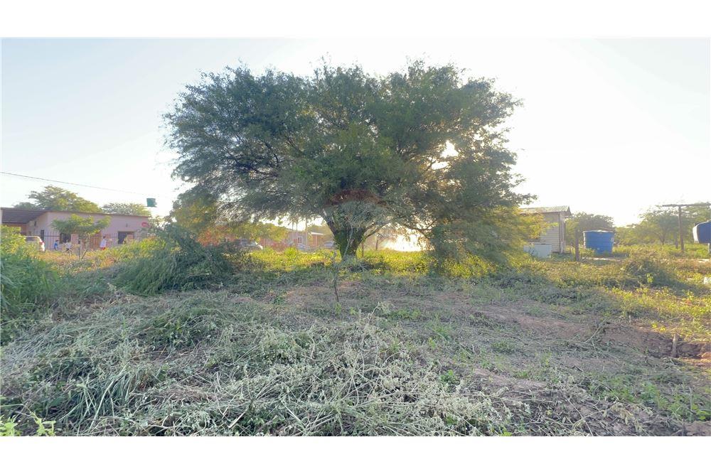 Terreno Comercial en Filadelfia — foto 3