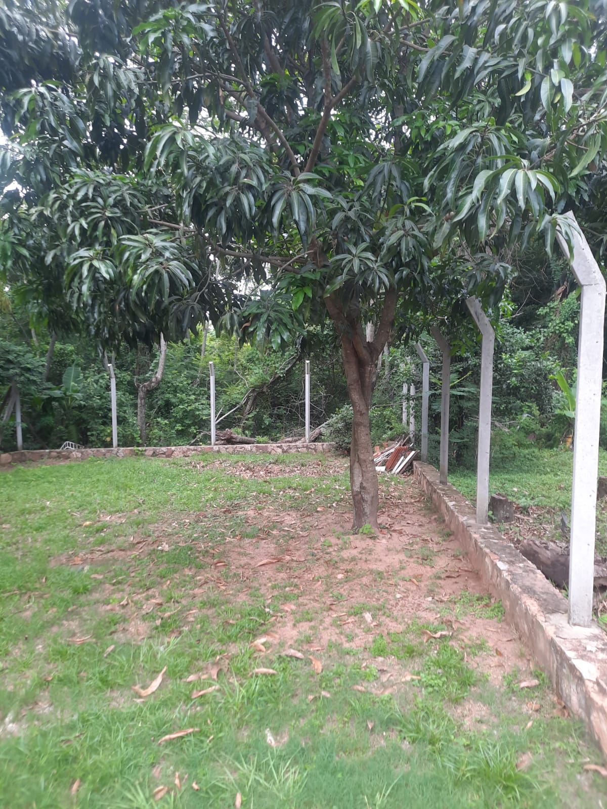Vendo terreno en Sanber con vista al lago — foto 2