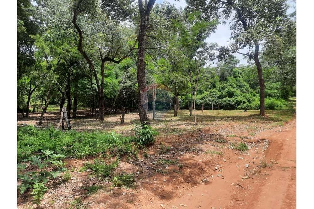 Oportunidad única de terreno San Bernardino — foto 3