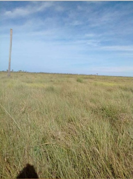 Vendo Campo de 4.911 Hectáreas, Zona Arroyos y Esteros - CLCS6233254 — foto 2
