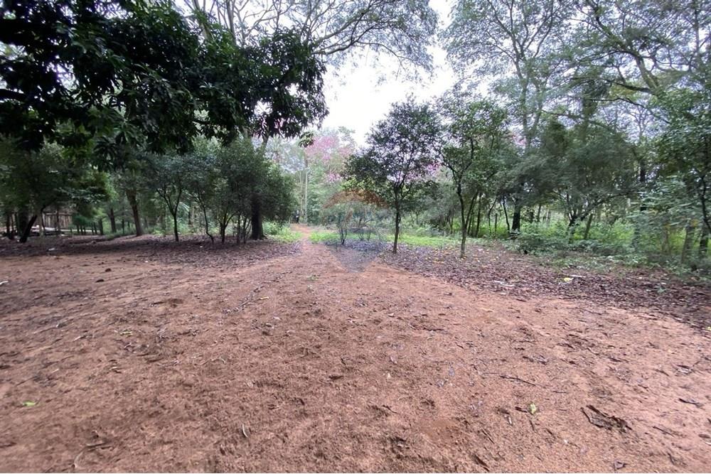 VENTA DE TERRENO EN SAN BERNARDINO — foto 2