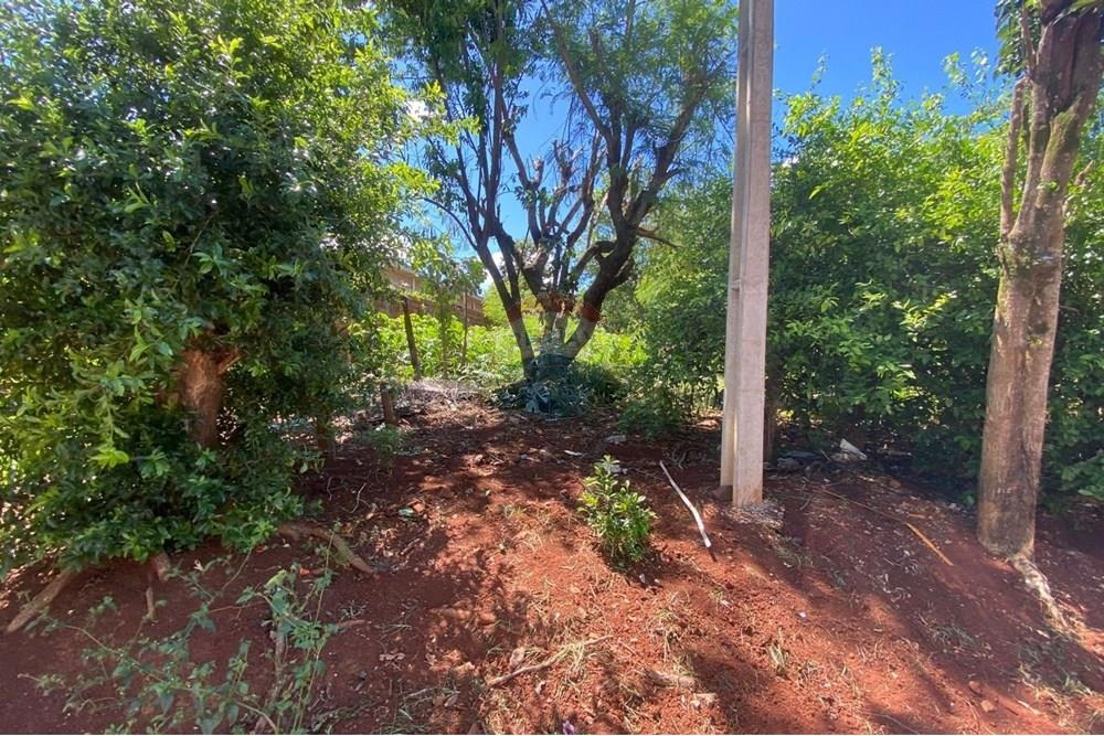 Terreno en Presidente Franco — foto 3