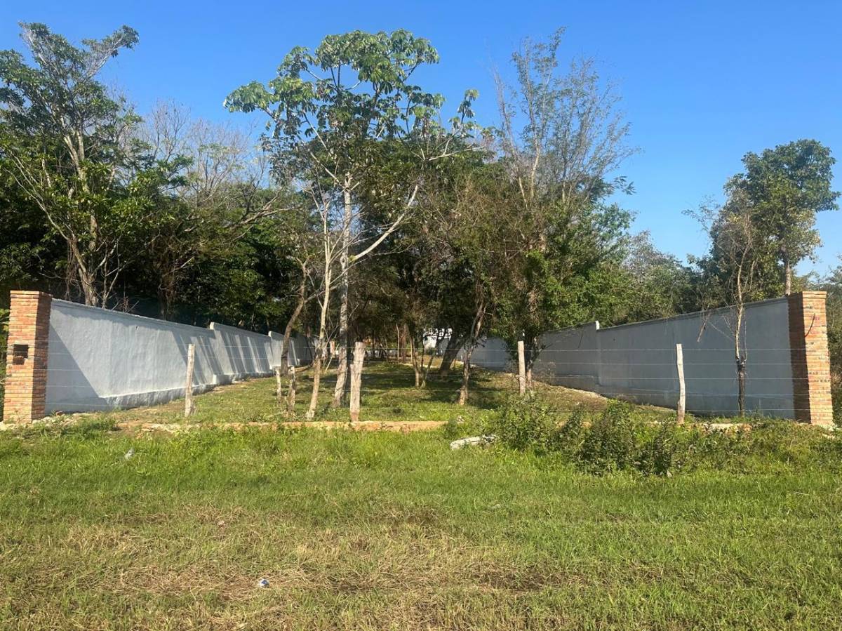 VENDO AMPLIO TERRENO EN SAN BERNARDINO — foto 3