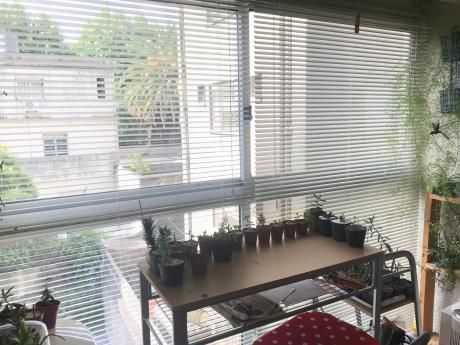 Venta Apartamento Montevideo Parque Rodo 1 Dormitorio