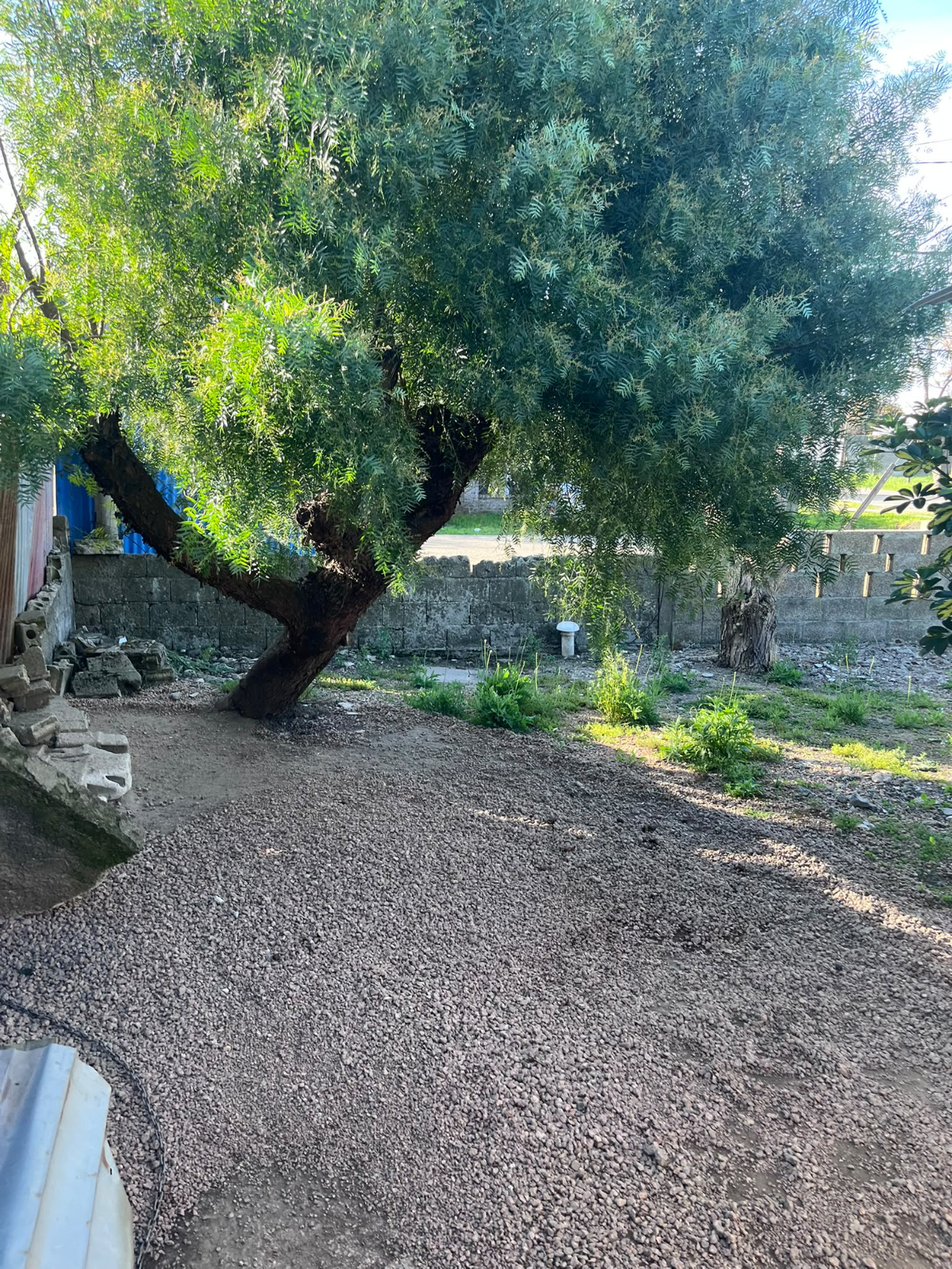 Photo 4 of 4