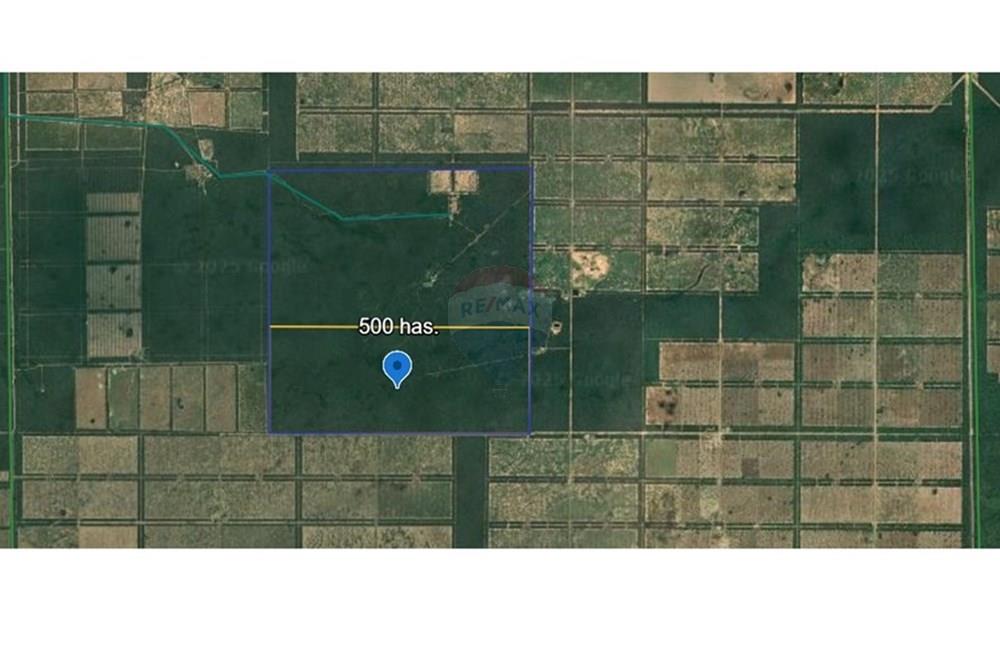 Campo Virgen en Venta: 500ha en el Chaco Py — foto 2