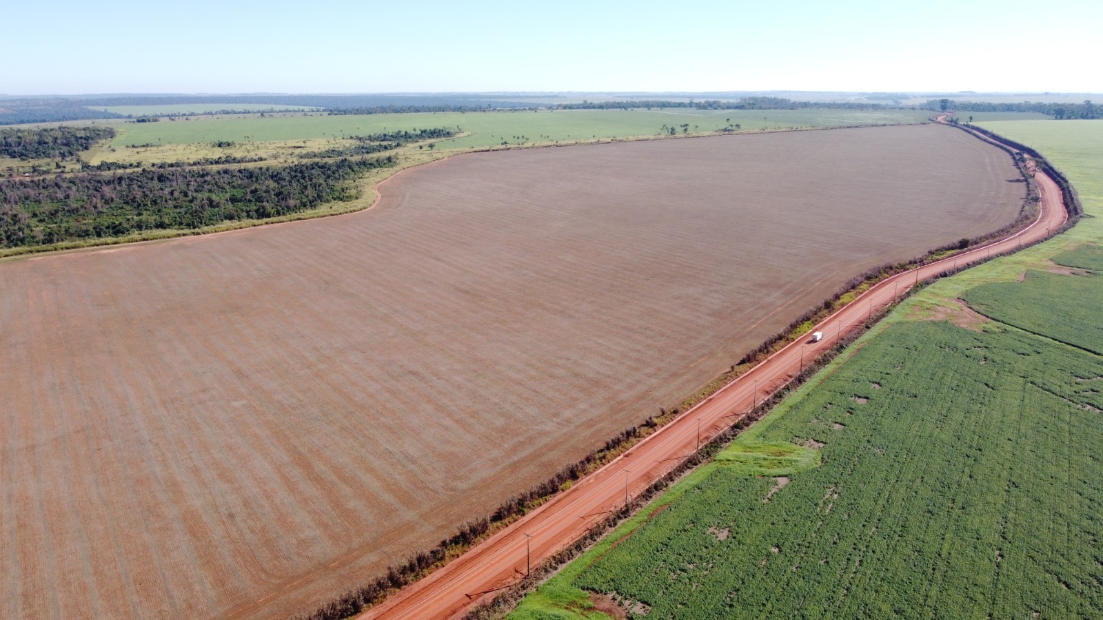 VENDO 1.001 HECTAREAS EN CURUGUATY 50 millones por Hectárea — foto 2