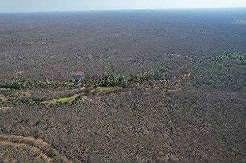 Estancia/Campo-Venta-PY Alto Paraguay Bahia Negra — foto 2