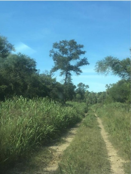 Vendo Campo Ganadero de 11.600 Hectáreas en Benjamín Aceval - CLCS5839664 — foto 2