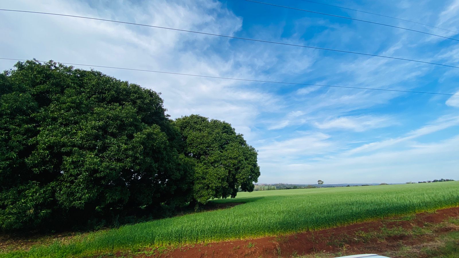 TERRENO EN VENTA EN LA CIUDAD DE ENCARNACION! — foto 2