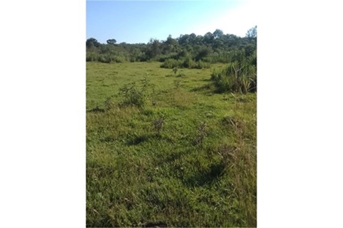 Vendo terreno para inversion inmobiliaria de 97.500m2 ciudad de Coronel Bogado. — foto 3