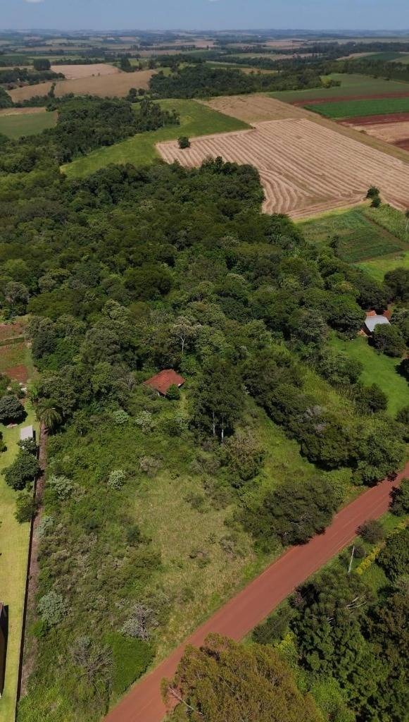 Vendo 10 Hectareas en Tomas Romero Pereira-Itapua — foto 2