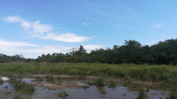Vendo HERMOSA estancia en YAGUARON — foto 2