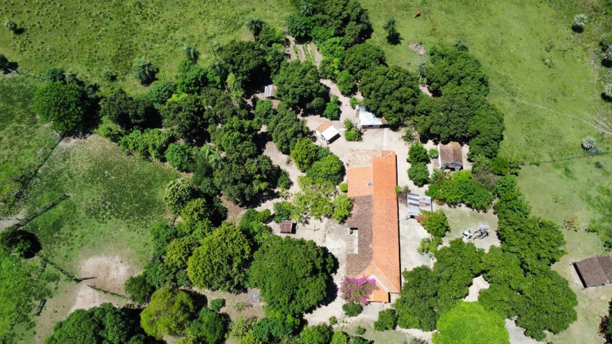 VENDO ESTANCIA EN PILAR DE 244 HECTÁREAS — foto 2