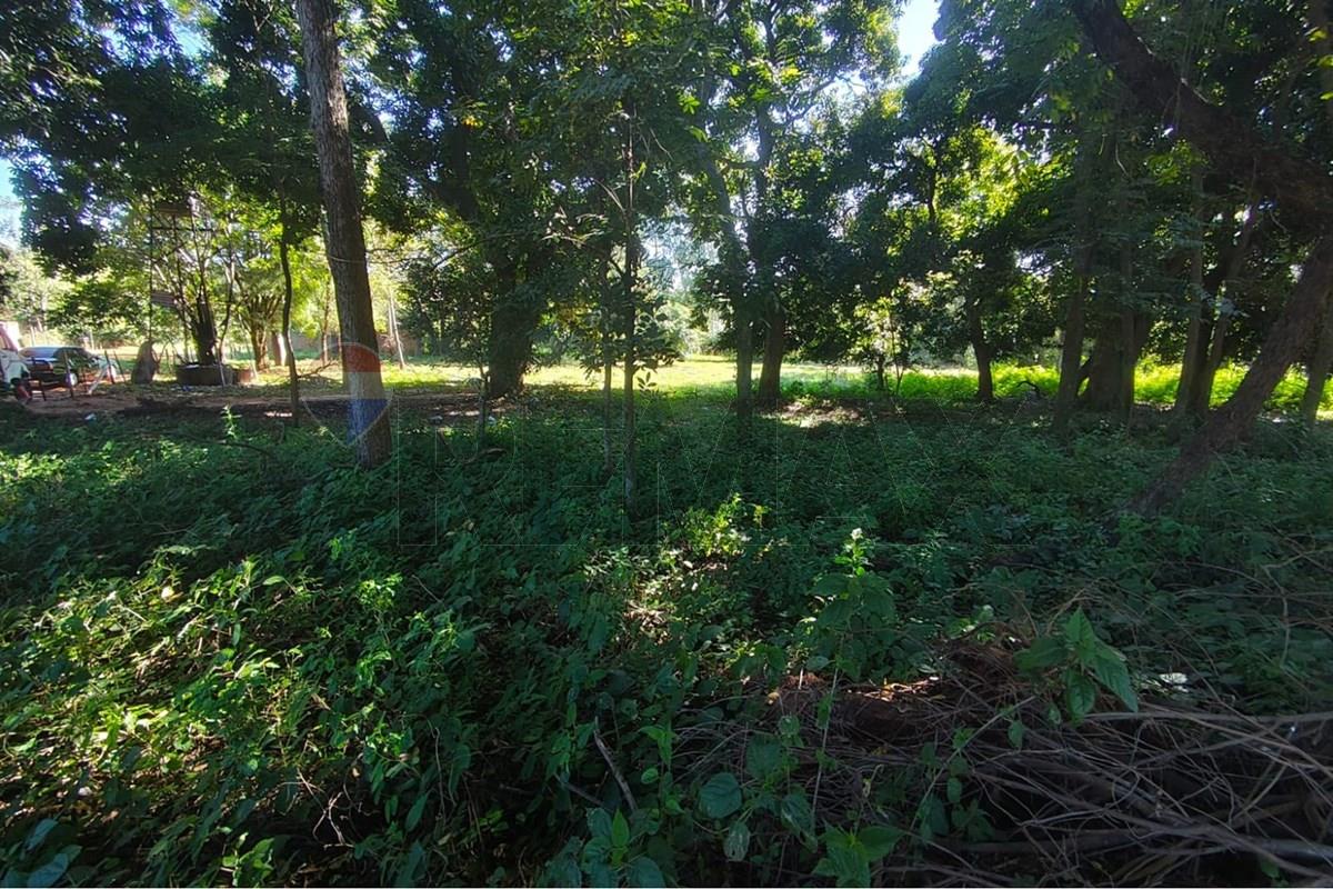 Terreno - Alquiler - Capiata, Central, Paraguay, Gran oportunidad! — foto 3