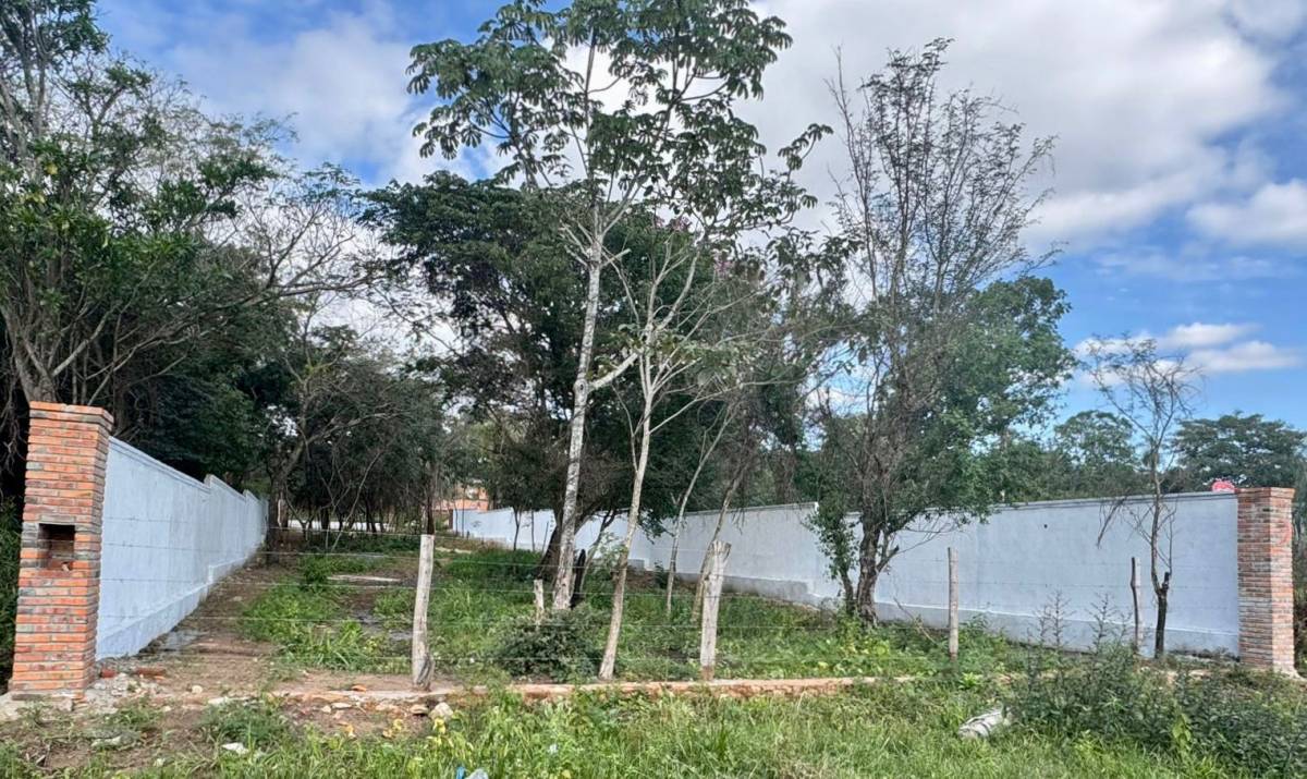 VENDO TERRENO EN SAN BERNARDINO — foto 2