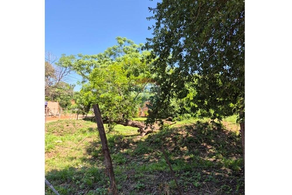 AMPLIO TERRENO EN MARIANO ROQUE ALONSO — foto 3