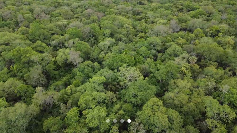 Vendo Campo de 13.700 Hectáreas, Ubicado Sobre la Ruta 12-CLCS5524303 — foto 3