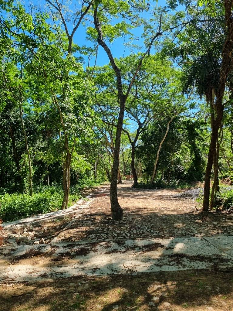 Venta de Terreno en San Bernardino, Cordillera ID:30261 — foto 3