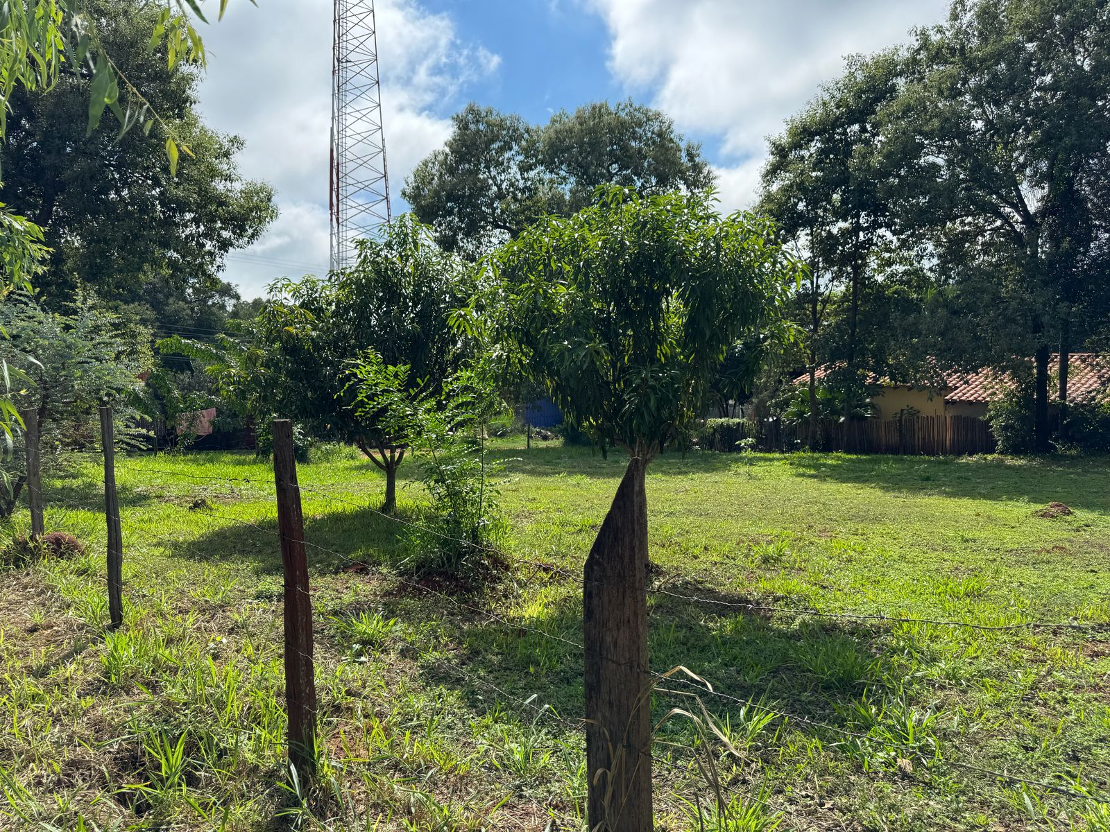 VENDO 2 TERRENOS JUNTOS EN CABAÑAS - CORDILLERA — foto 2