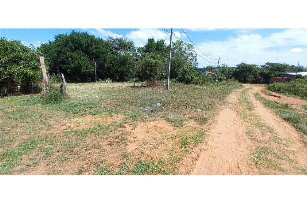 VENDO HERMOSO TERRENO EN LA CIUDAD DE ALTOS — foto 3