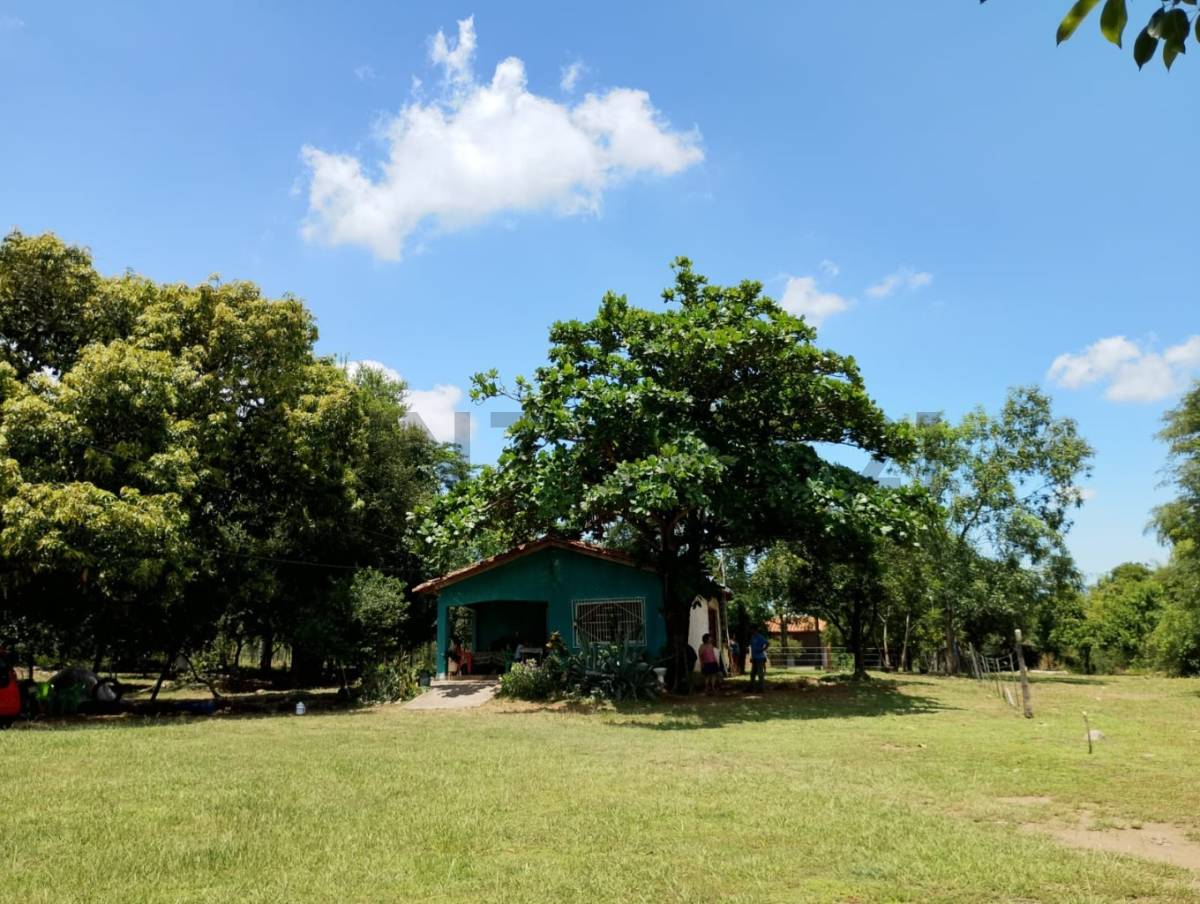 VENDO TERRENO ideal para QUINTA — foto 3