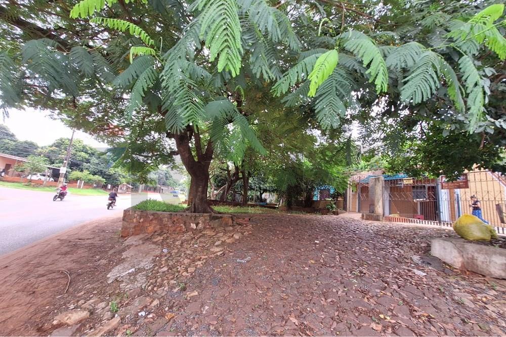 Depósito - Alquiler - Ñemby, Central, Paraguay, Que esperas! — foto 3