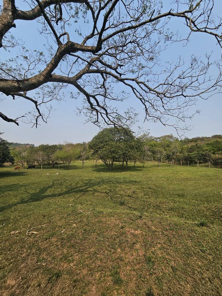 VENDO PROPIEDAD EN ALTOS A 600 MTS DE RUTA — foto 3