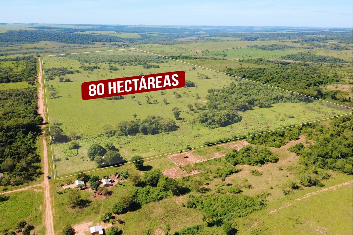 Finca Agrícola en Venta San Pedro — foto 3